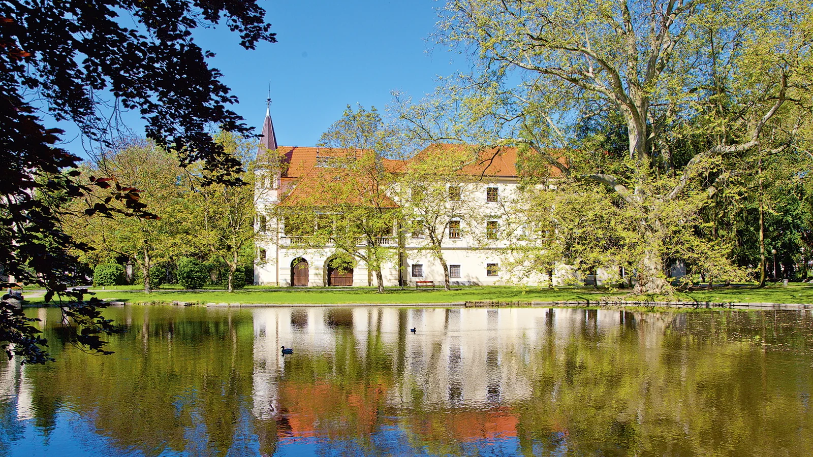 Kraj kupuje v sociálnych službách dvakrát viac miest, než sám prevádzkuje