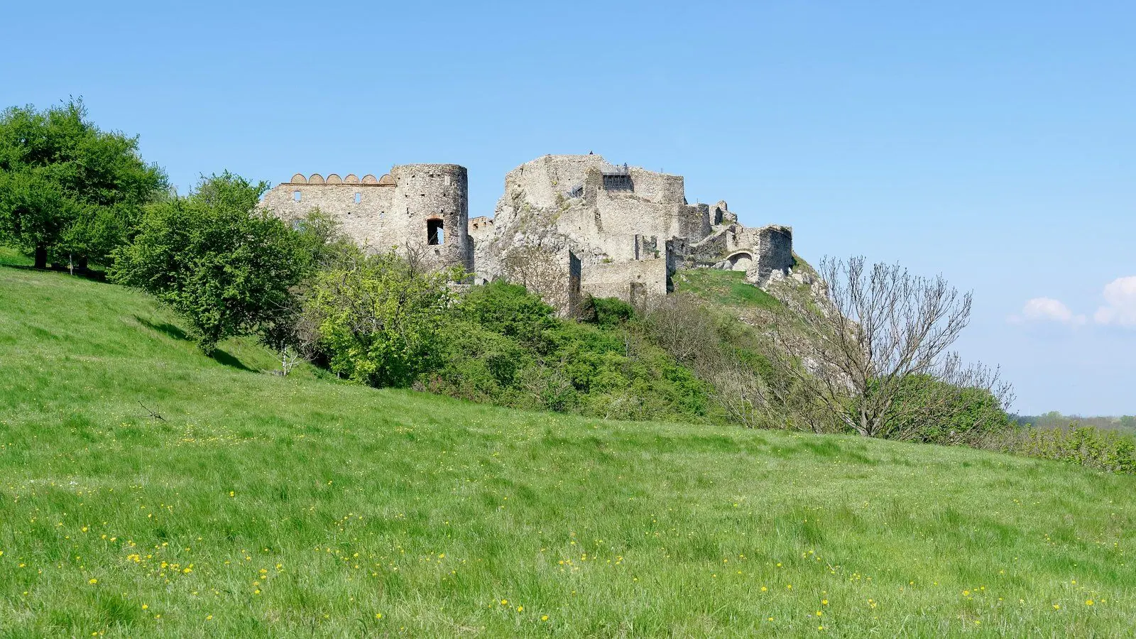 Na Dolnom hrade Devín vznikla bylinková záhrada podľa vzoru z 15. storočia