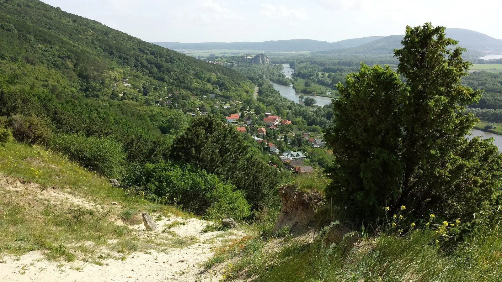 Letné kino na nádvorí knižnice a hudobné večery: Devínska zverejnila program leta