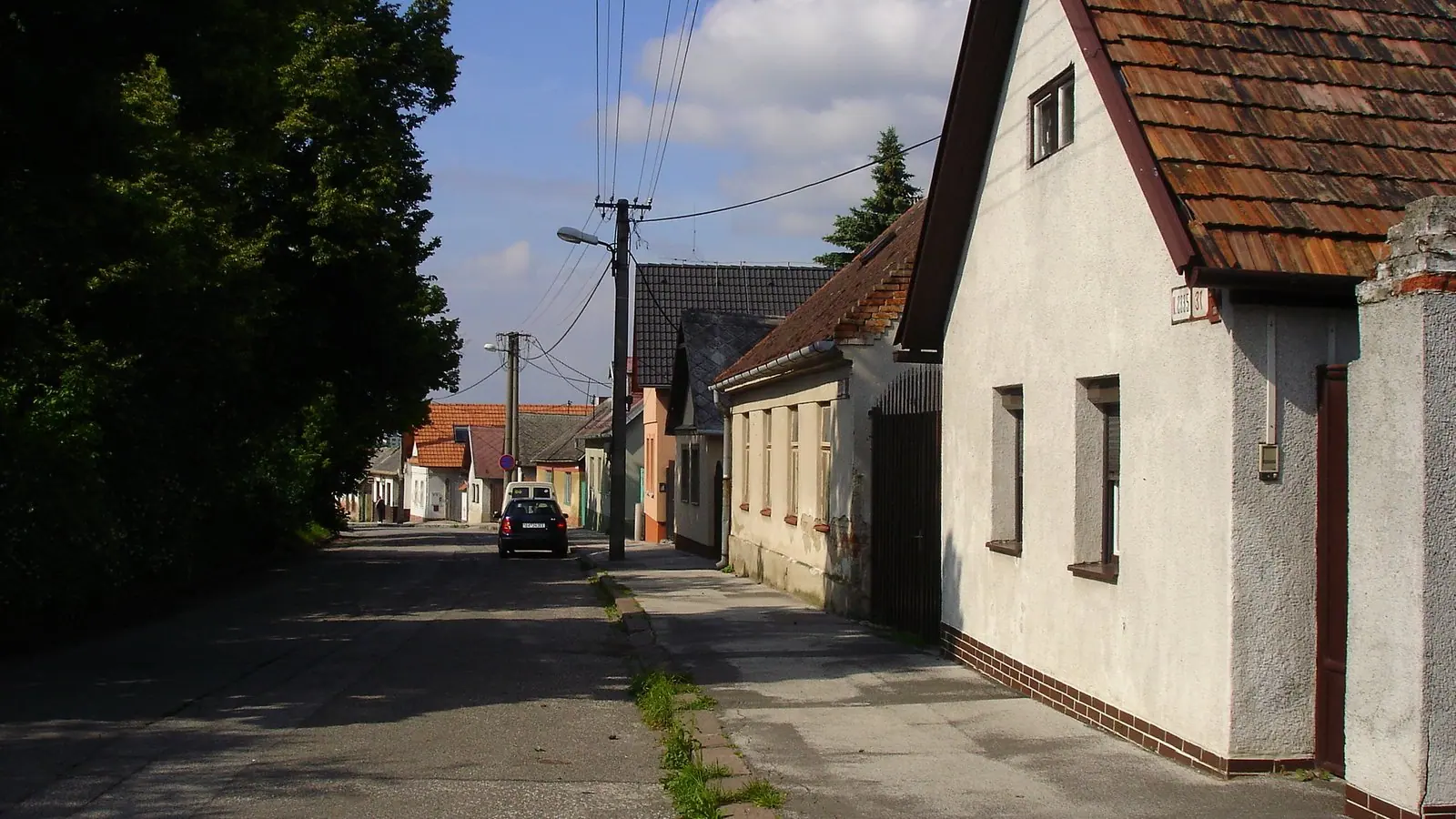 66 mačiatok za šesť týždňov. Dúbravka prosí o pomoc pre útulok