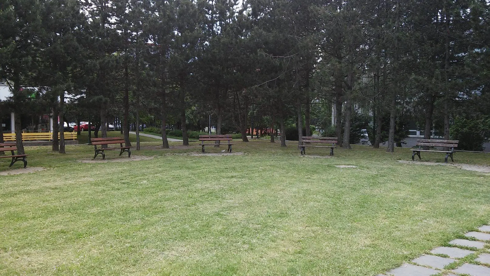 Pri športovej hale na Bakošovej pribudli sakury, lavičky a stojany