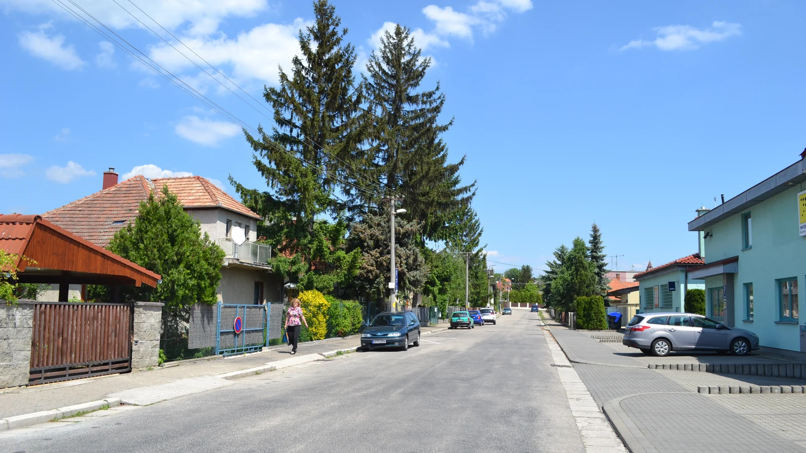 Kynek narástol o 88,6 % za desať rokov. Školu v mestskej časti stále nemá