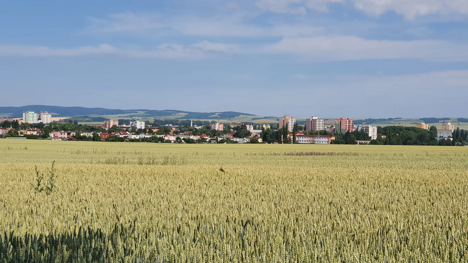 Rozpočet 48 miliónov, z toho pätnásť na investície. Senica ide do volebného roka naplno